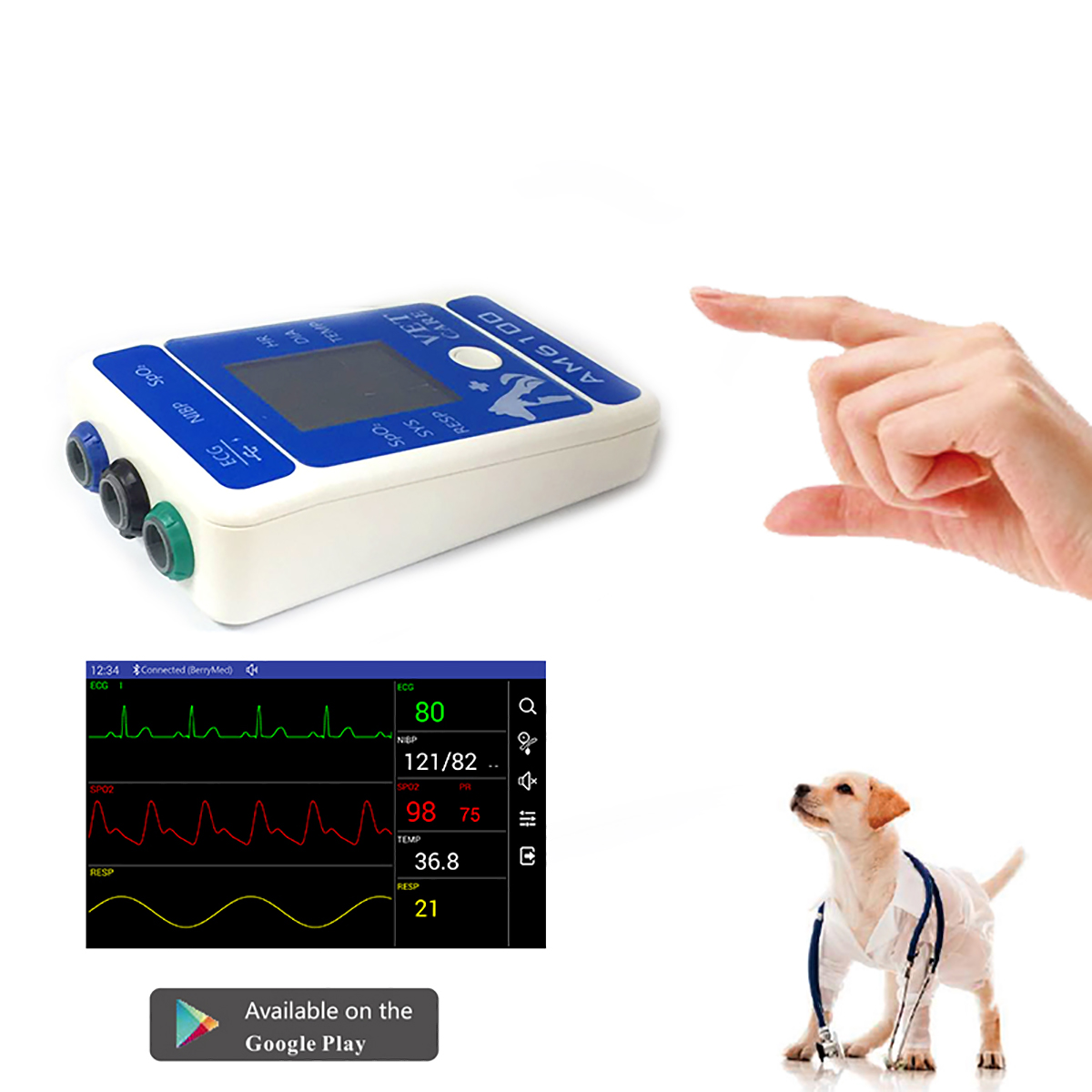 Veterinary Monitor for Pet, Monitoring 6 Parameter for Animal (include