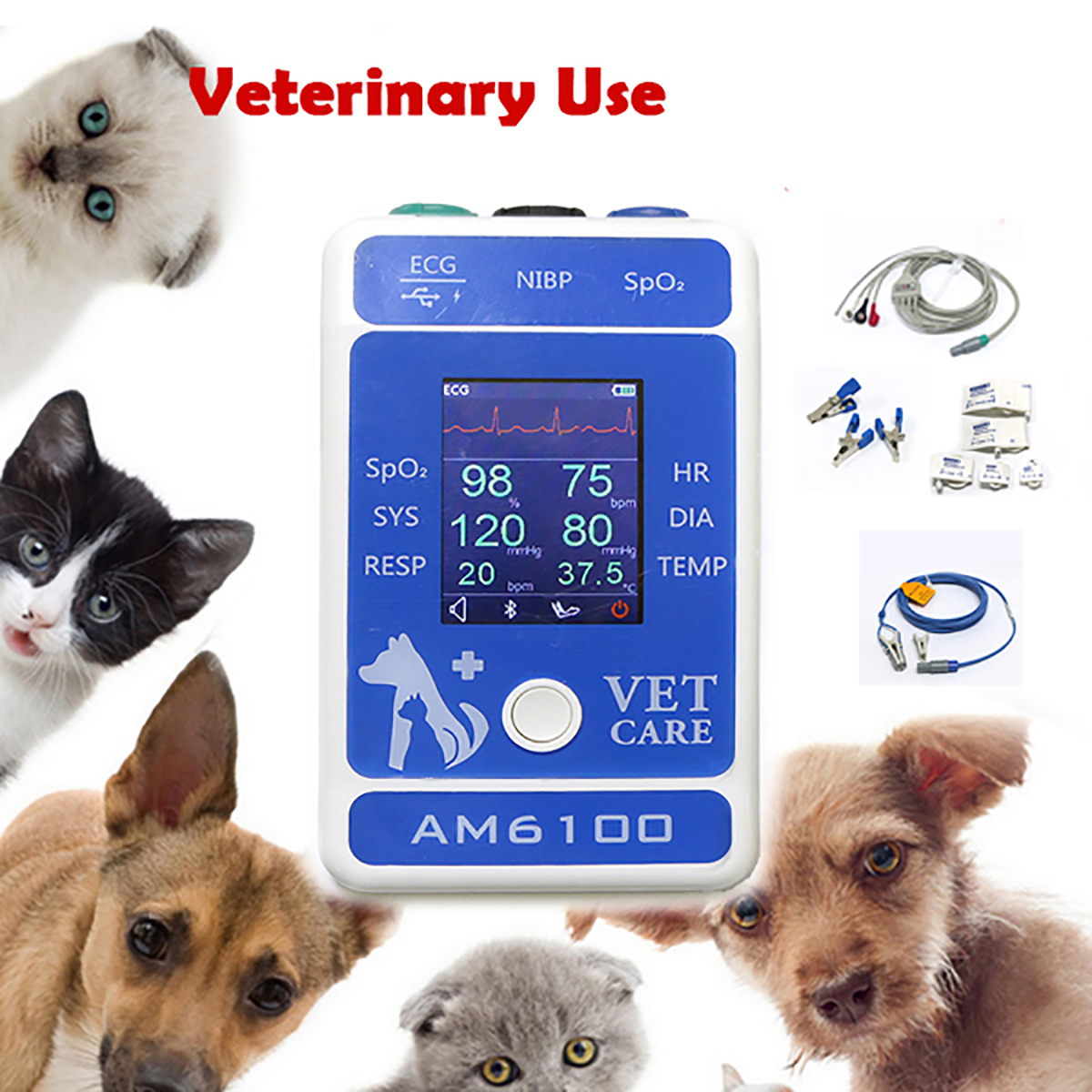 Pet Medical Supplies at Minnie Cortez blog